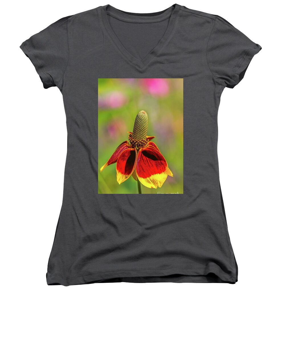 Amicalola-falls Women's V-Neck featuring the photograph Mexican hat by Bernd Laeschke