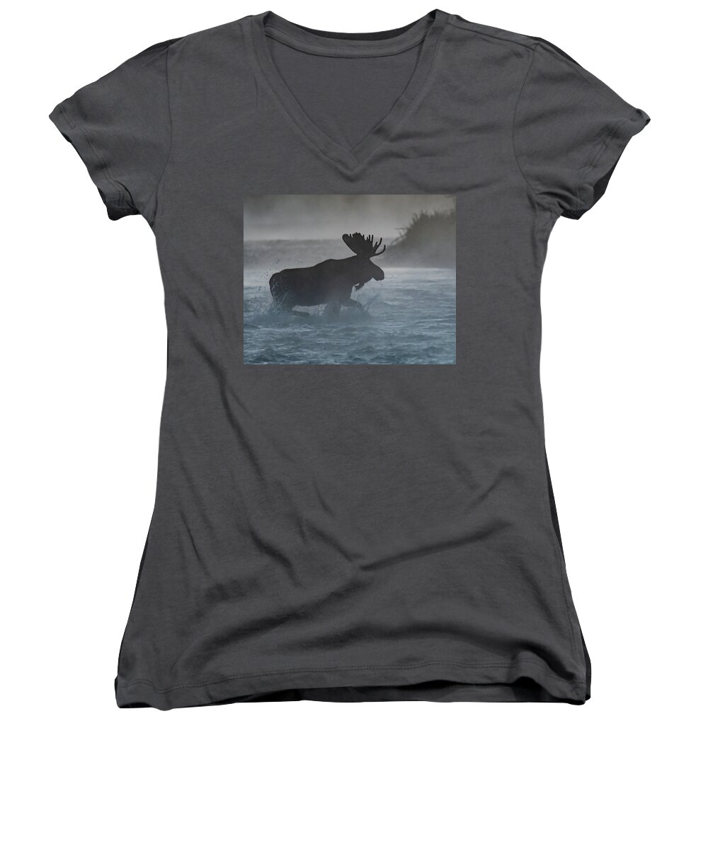 Moose Women's V-Neck featuring the photograph Morning crossing by Mary Hone