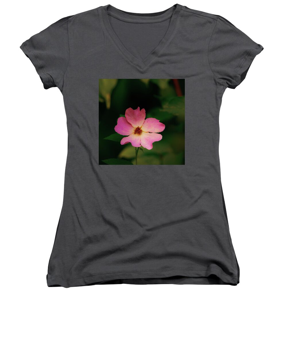 Johnson County Women's V-Neck featuring the photograph Multi Floral Rose Flower by Jeff Phillippi