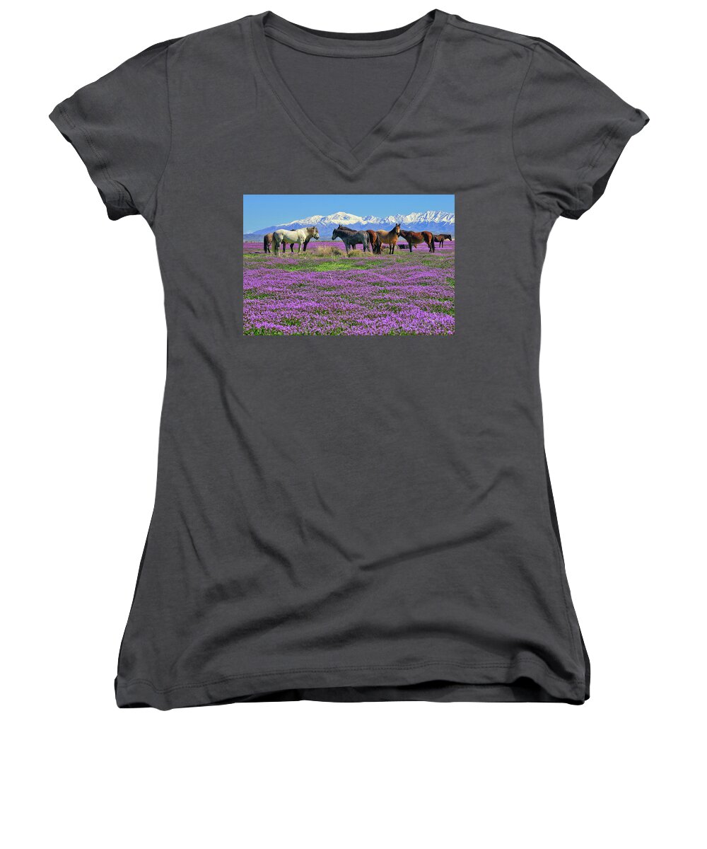 Onaqui Wild Horses Women's V-Neck featuring the photograph Onaqui Spring by Greg Norrell