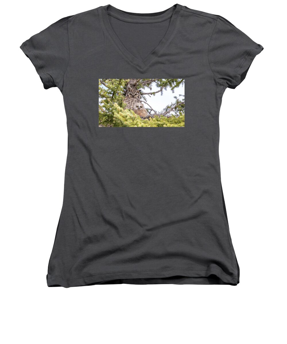 Owl Women's V-Neck featuring the photograph One Of Two by Kevin Dietrich