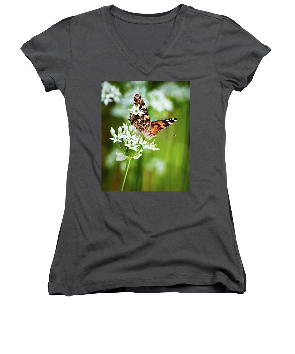 Painted Lady Women's V-Neck featuring the photograph Painted Lady II by Jeff Phillippi