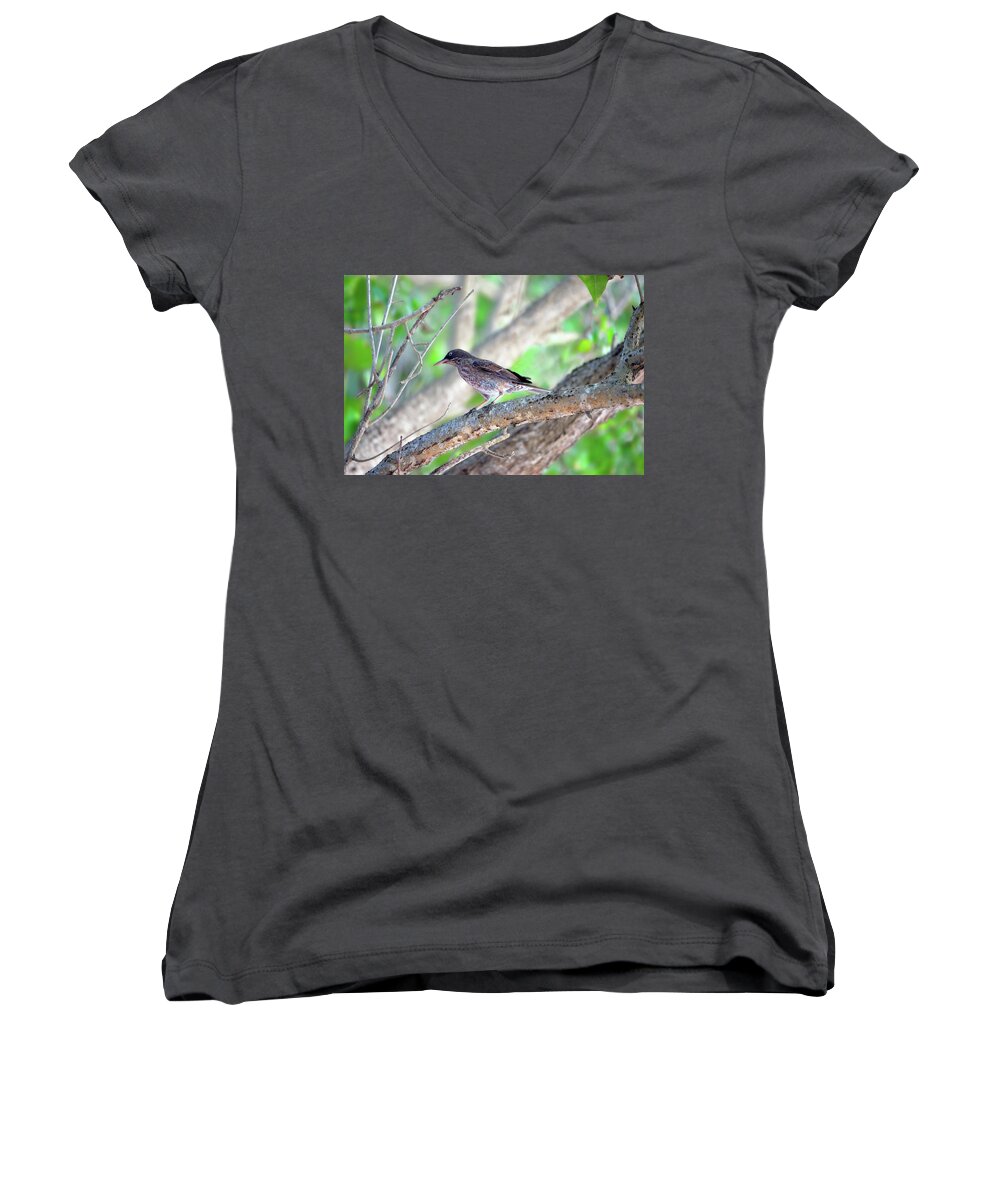 Margarops Fuscatus Women's V-Neck featuring the photograph Pearly Eyes by Climate Change VI - Sales