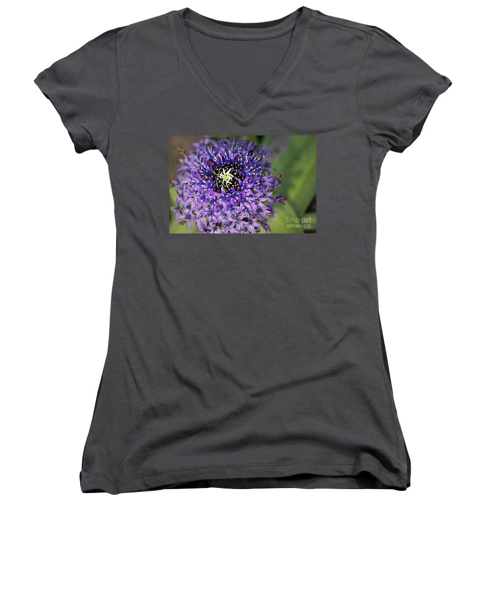 Purple Women's V-Neck featuring the photograph Purple Flower by Rich Collins