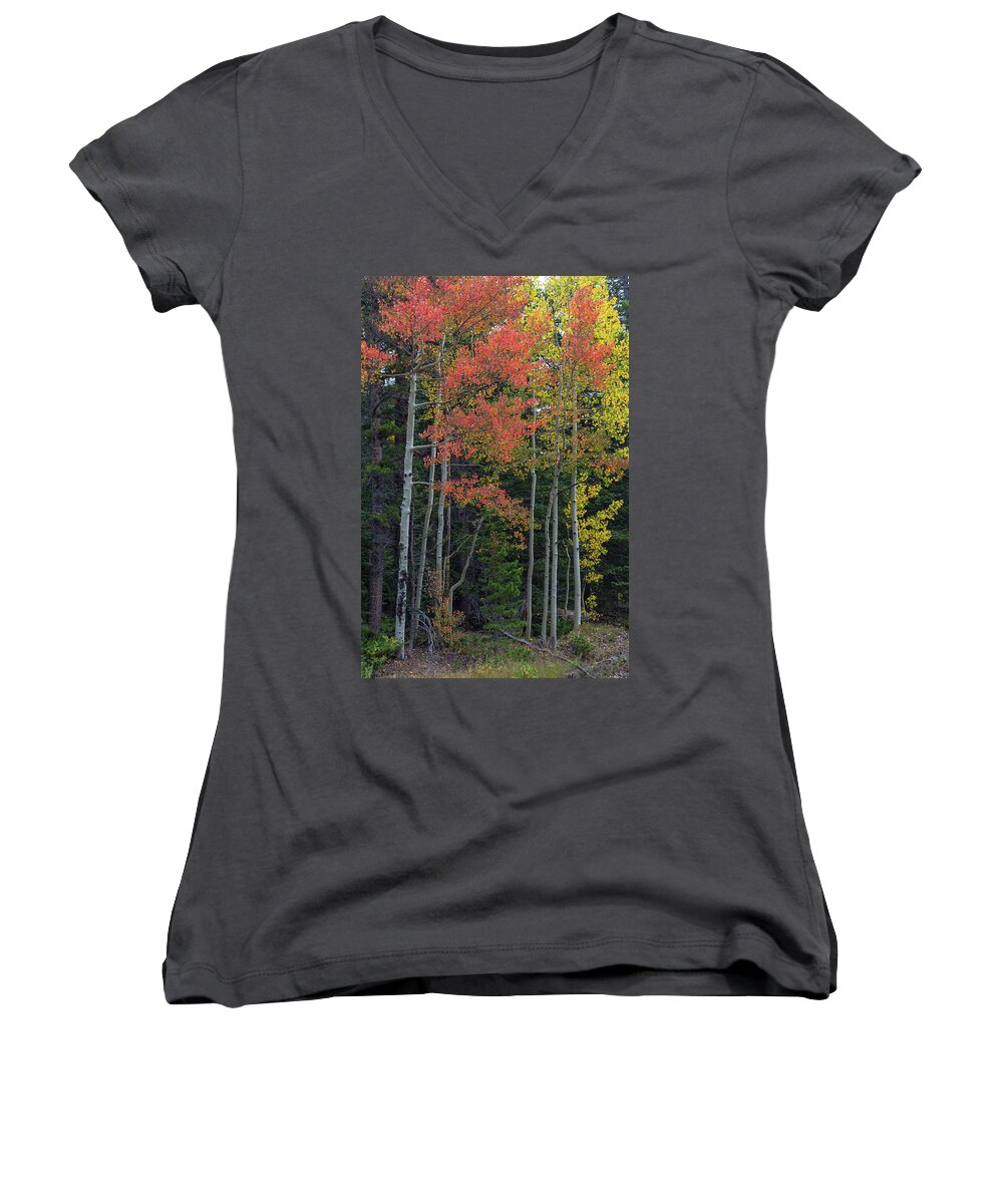 Red Women's V-Neck featuring the photograph Rocky Mountain Forest Reds by James BO Insogna