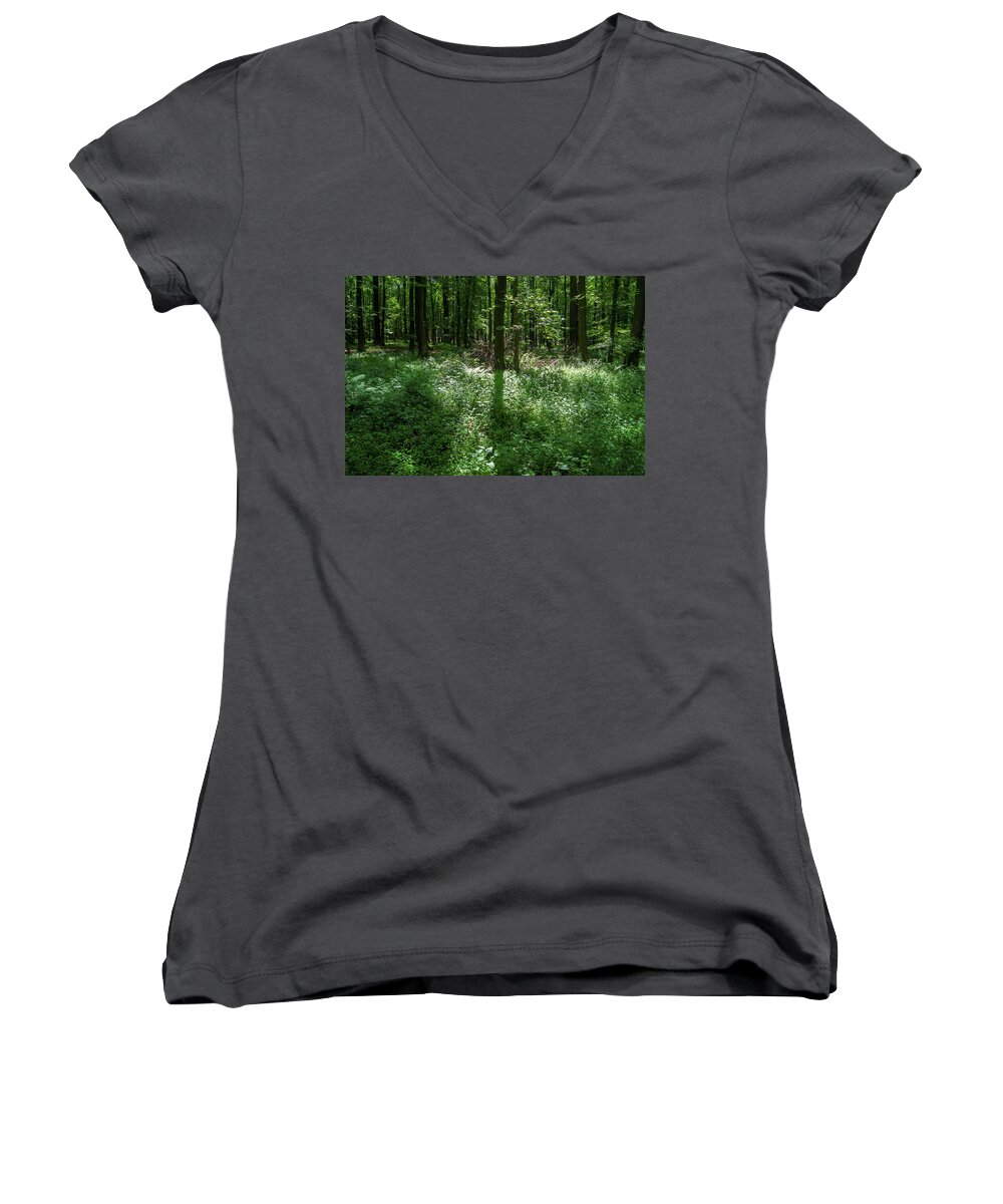 Forest Women's V-Neck featuring the photograph Shadow and light in a forest by Sun Travels