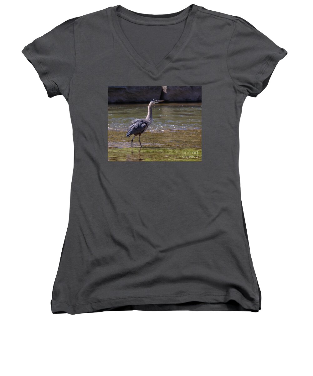 Photography Women's V-Neck featuring the photograph Shake it off Blue by Alma Danison