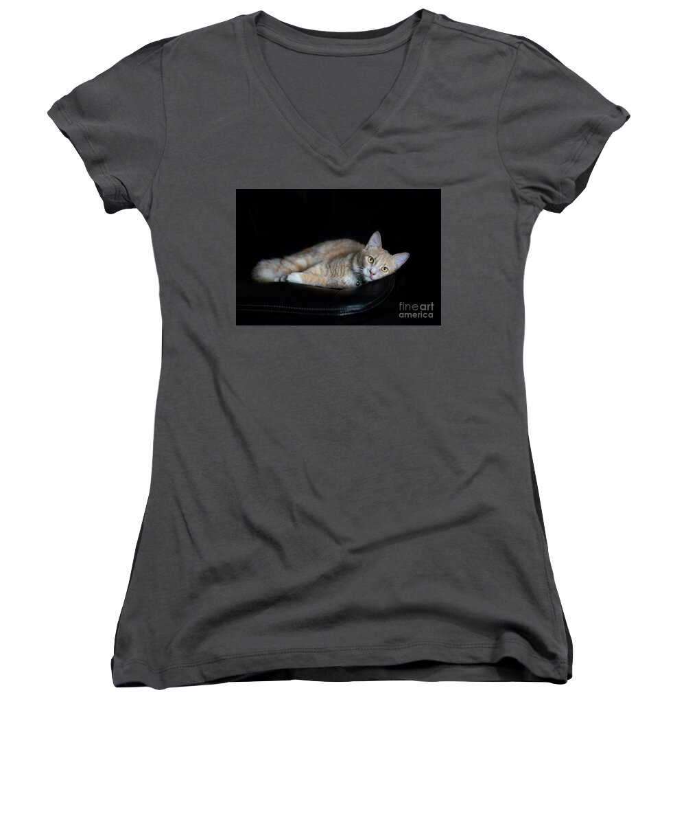 Cat Women's V-Neck featuring the photograph Sleepy Champagne Ginger Tabby Kitten on black by Michelle Wrighton