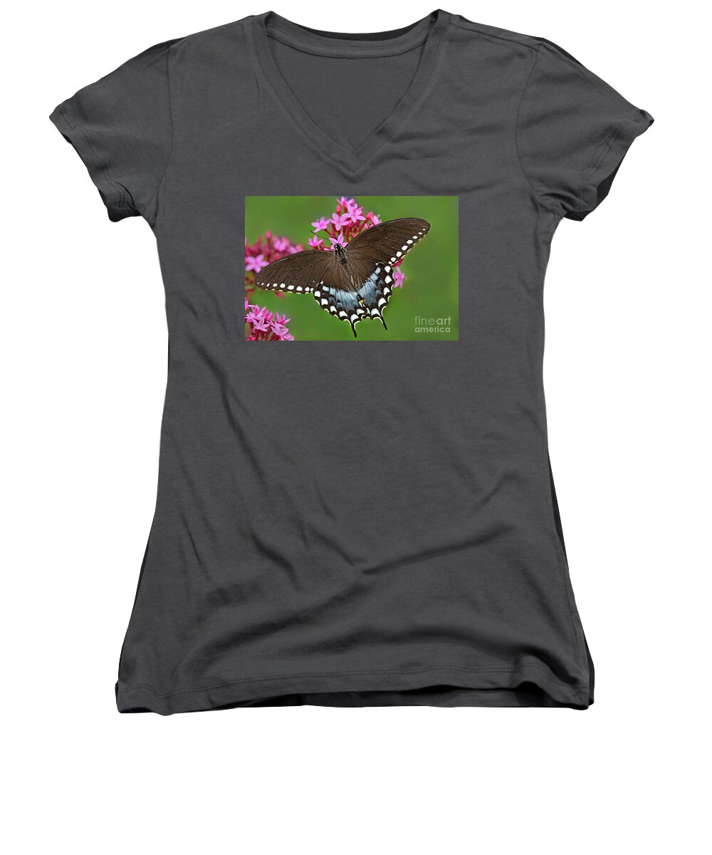 Dave Welling Women's V-Neck featuring the photograph Spicebush Swallowtail Papilio Trollus by Dave Welling