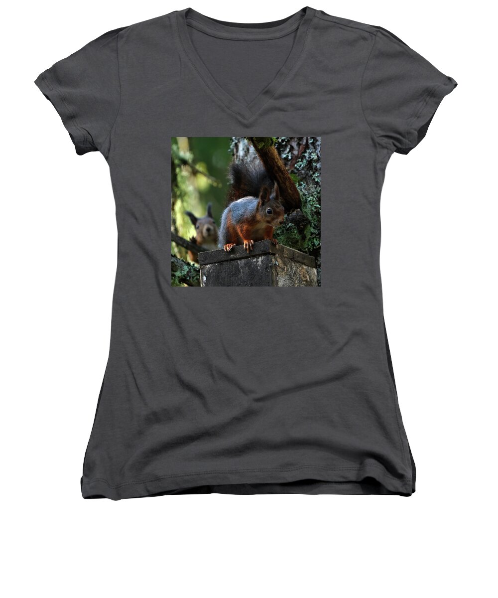 Sweden Women's V-Neck featuring the pyrography Squirrels by Magnus Haellquist