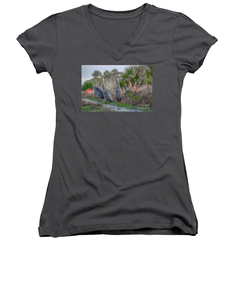Crane Women's V-Neck featuring the photograph Standing Sandhills by Tom Claud