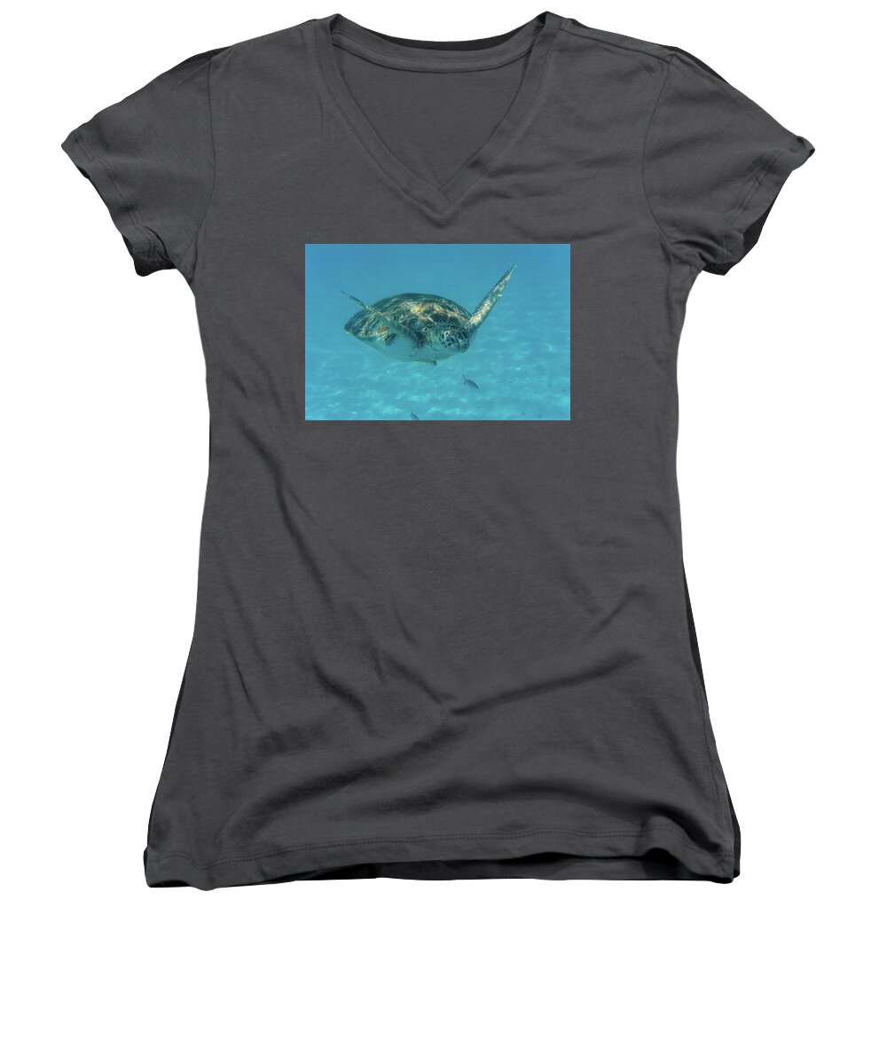 Turtle Women's V-Neck featuring the photograph Turtle Approaching by Mark Hunter