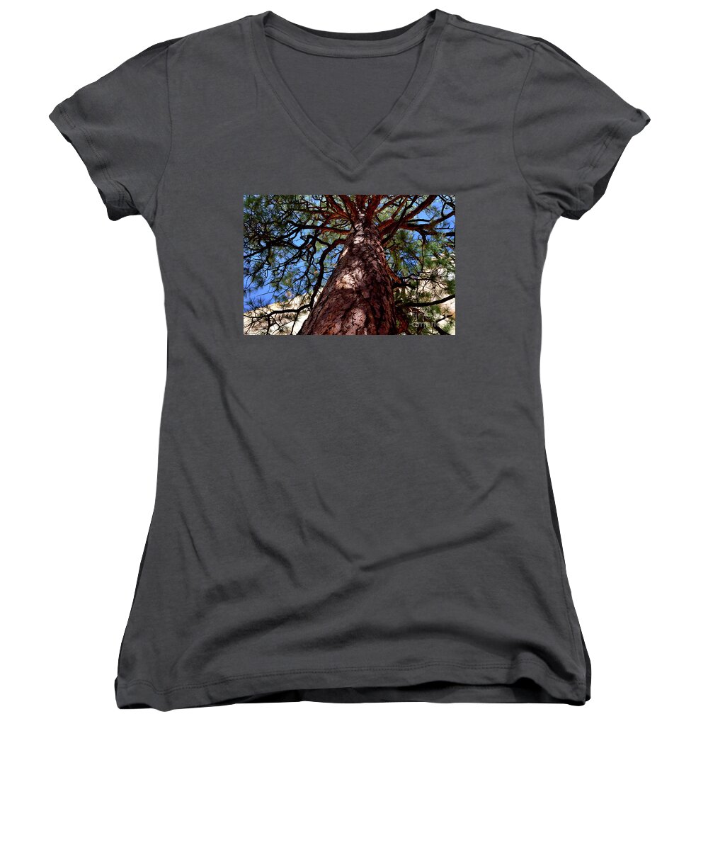 El Morro National Monument Women's V-Neck featuring the photograph Under the Limbs by Debby Pueschel