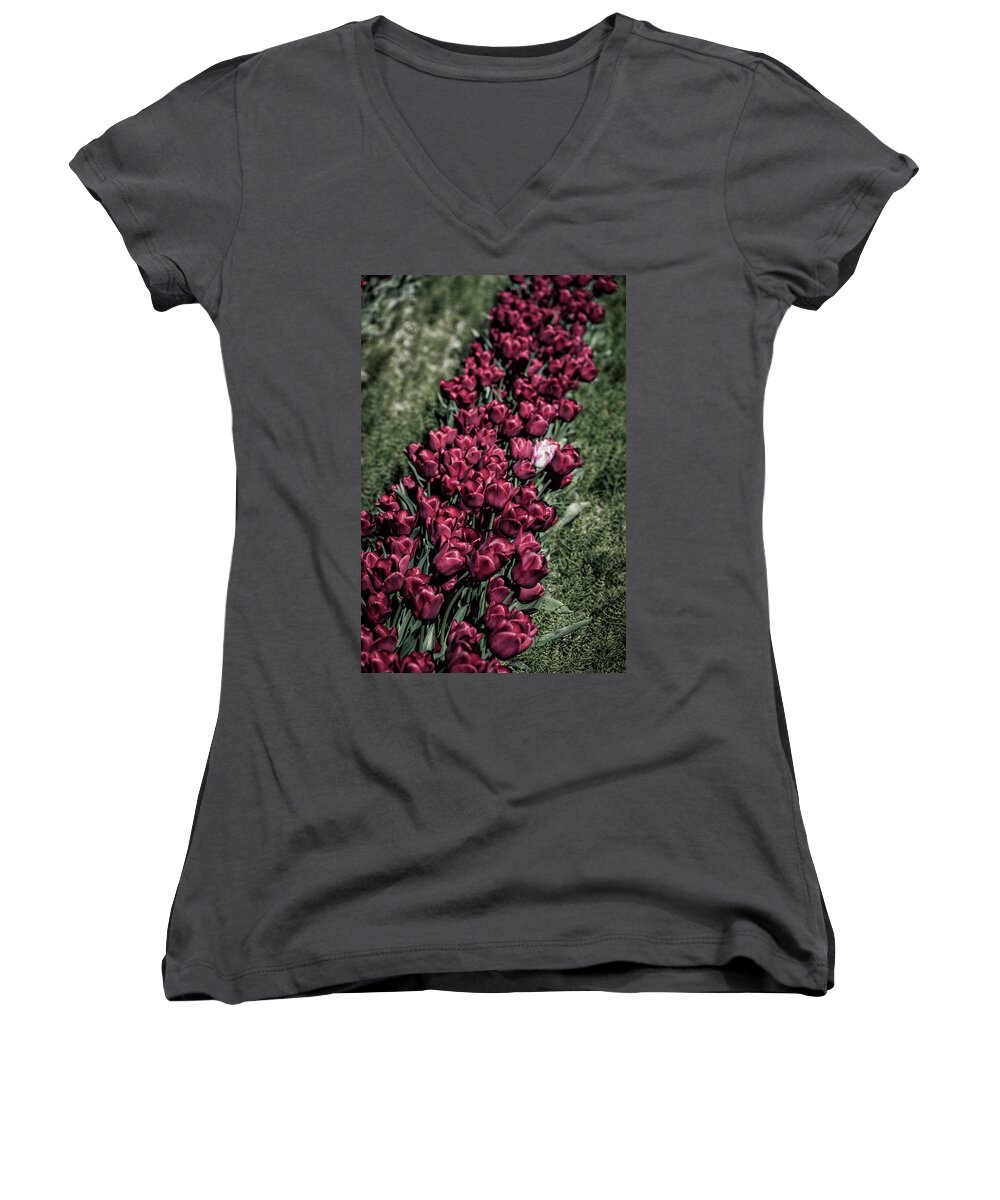 Plant Women's V-Neck featuring the photograph Velvet Path by Laura Roberts