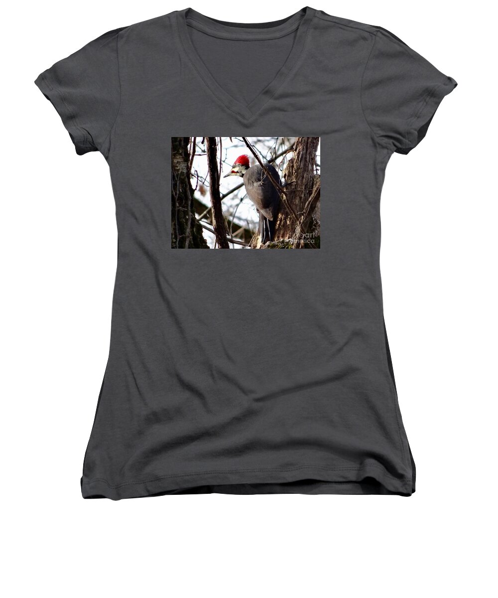 © 2018 Women's V-Neck featuring the photograph WaryPileated by Christopher Plummer