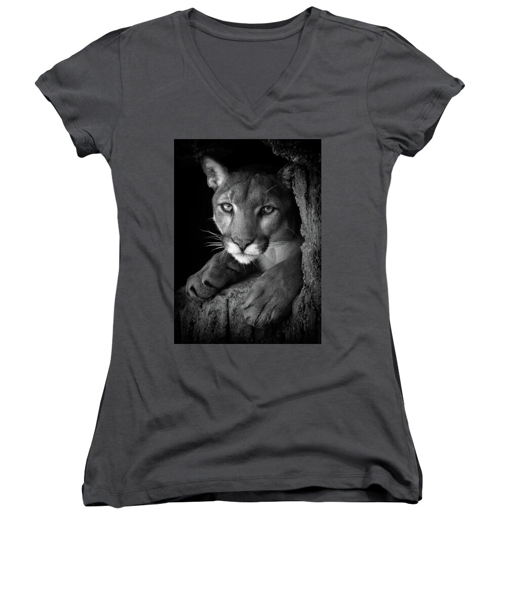 Mountain Lion Women's V-Neck featuring the photograph What Now by Elaine Malott
