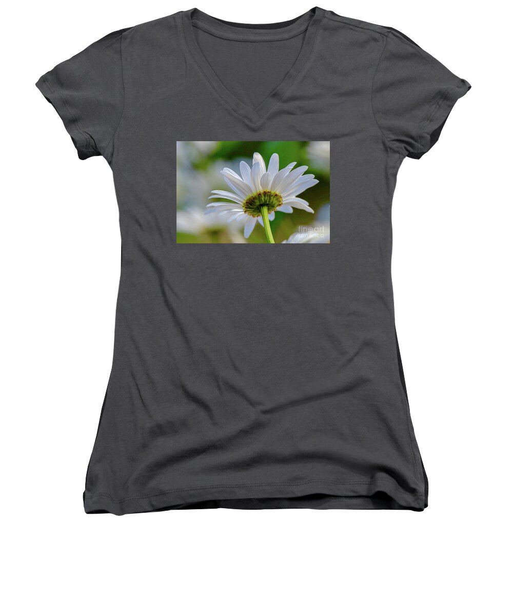 Flower Women's V-Neck featuring the photograph Fresh As A Daisy by Susan Rydberg