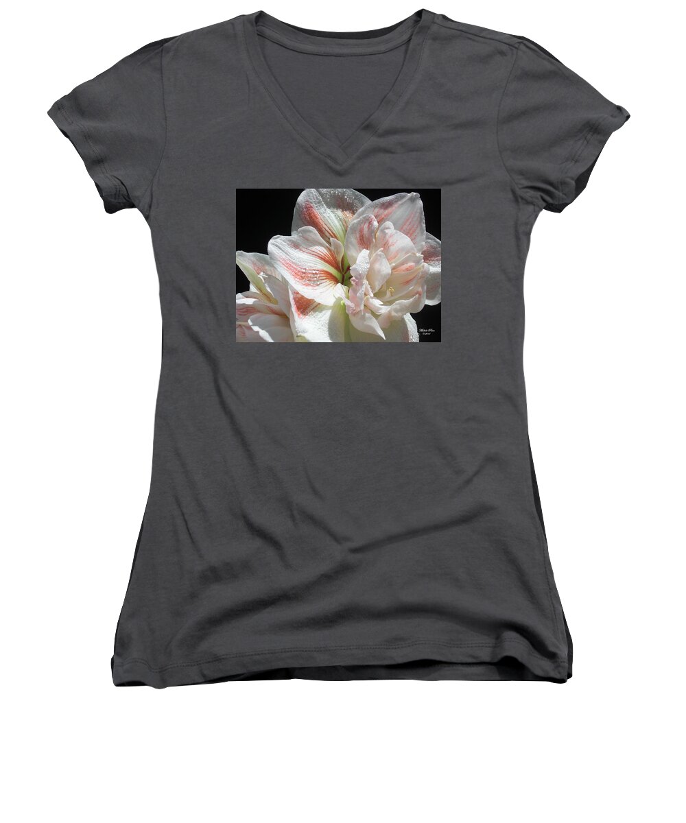 Flower Women's V-Neck featuring the photograph White Glory by Michele Penn