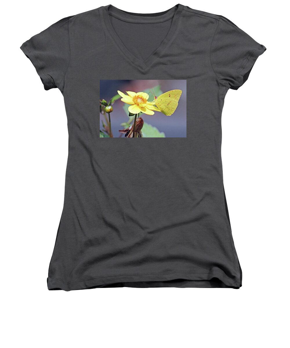 Macro Women's V-Neck featuring the photograph Yellows Combined by Jennifer Robin