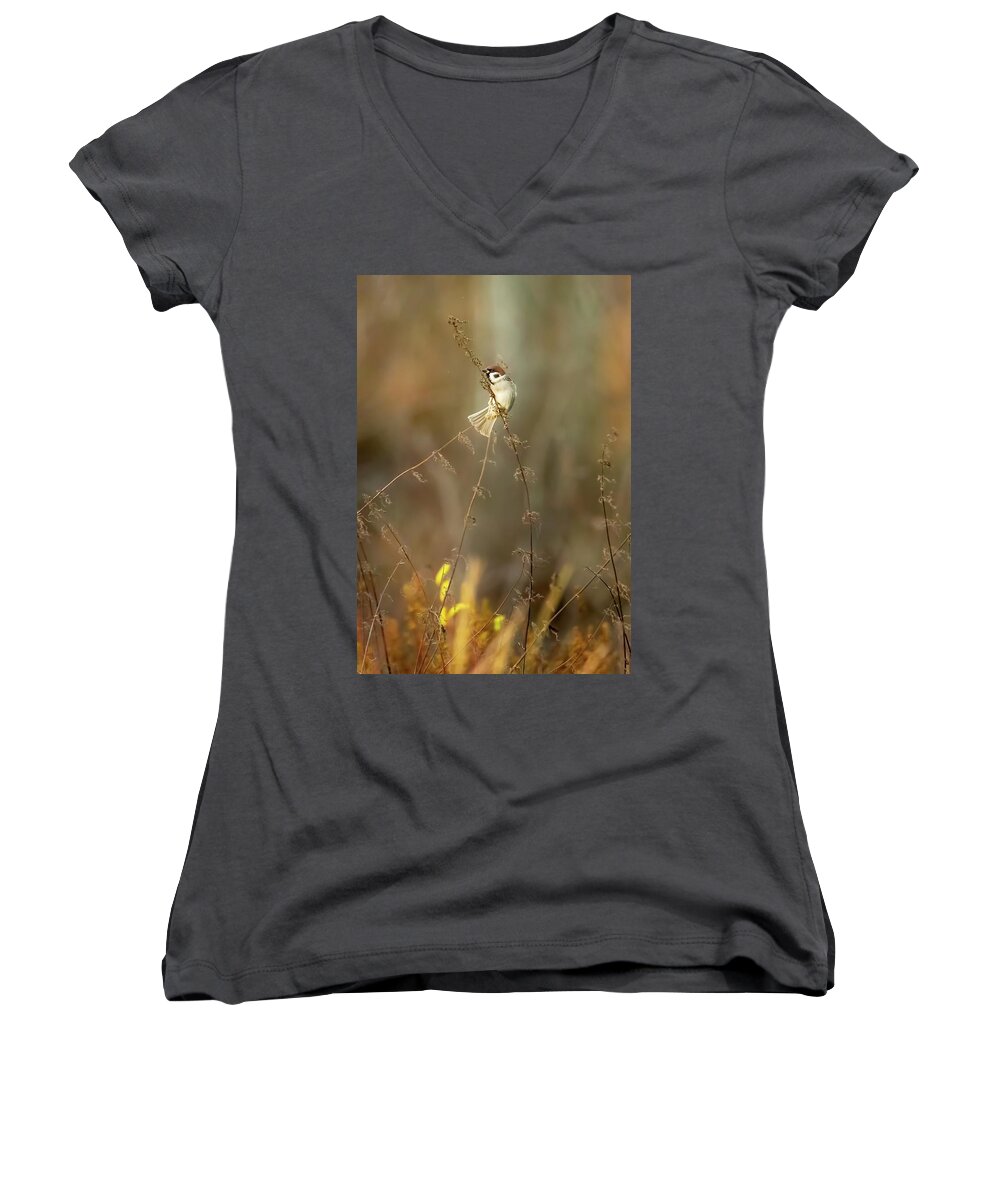 A Finch Enjoys The Morning Women's V-Neck featuring the photograph On Top #1 by Rose-Marie Karlsen