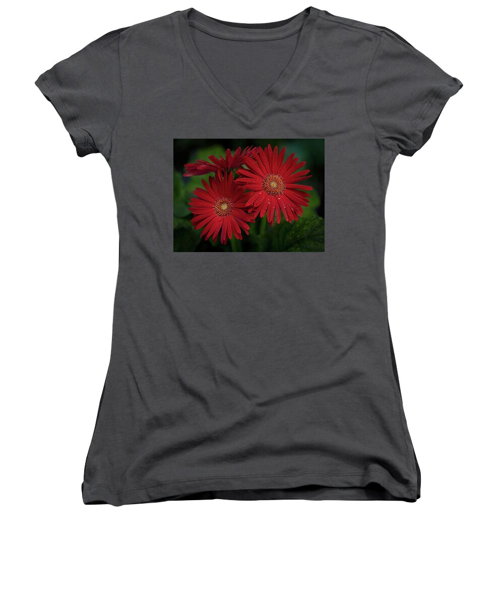 Flower Women's V-Neck featuring the photograph Red Herberra High end Photo Flower Art #1 by Lily Malor