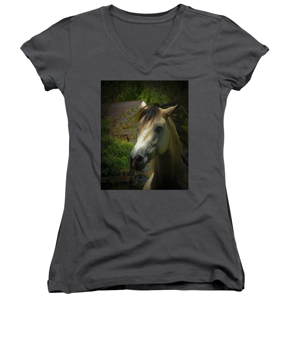  Women's V-Neck featuring the photograph Whiskey #1 by Keith Lovejoy
