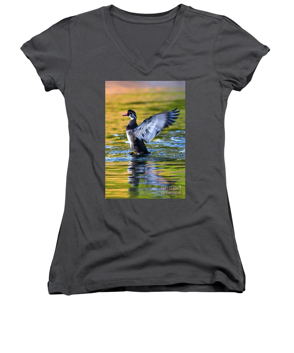 Wood Duck Women's V-Neck featuring the photograph Wood Duck Sunset #1 by John F Tsumas
