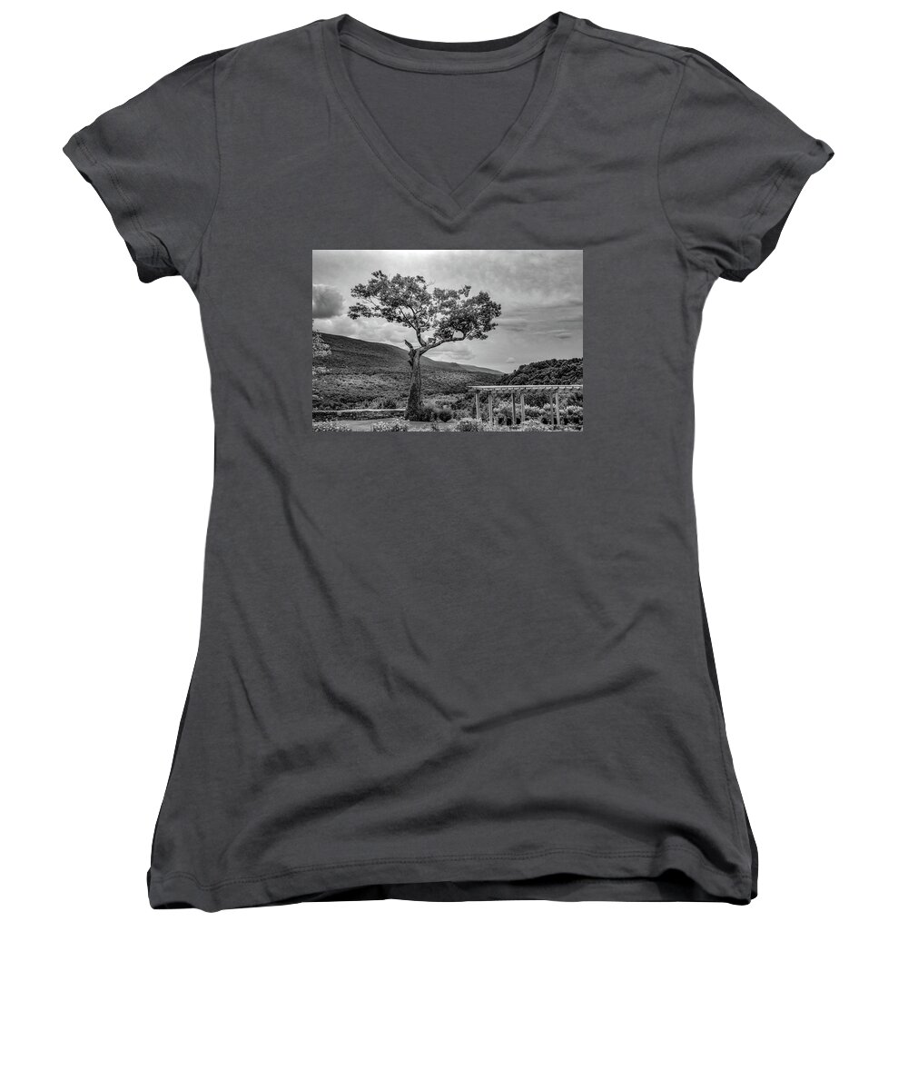 Forest Women's V-Neck featuring the photograph A Tree At Hildene by Guy Whiteley