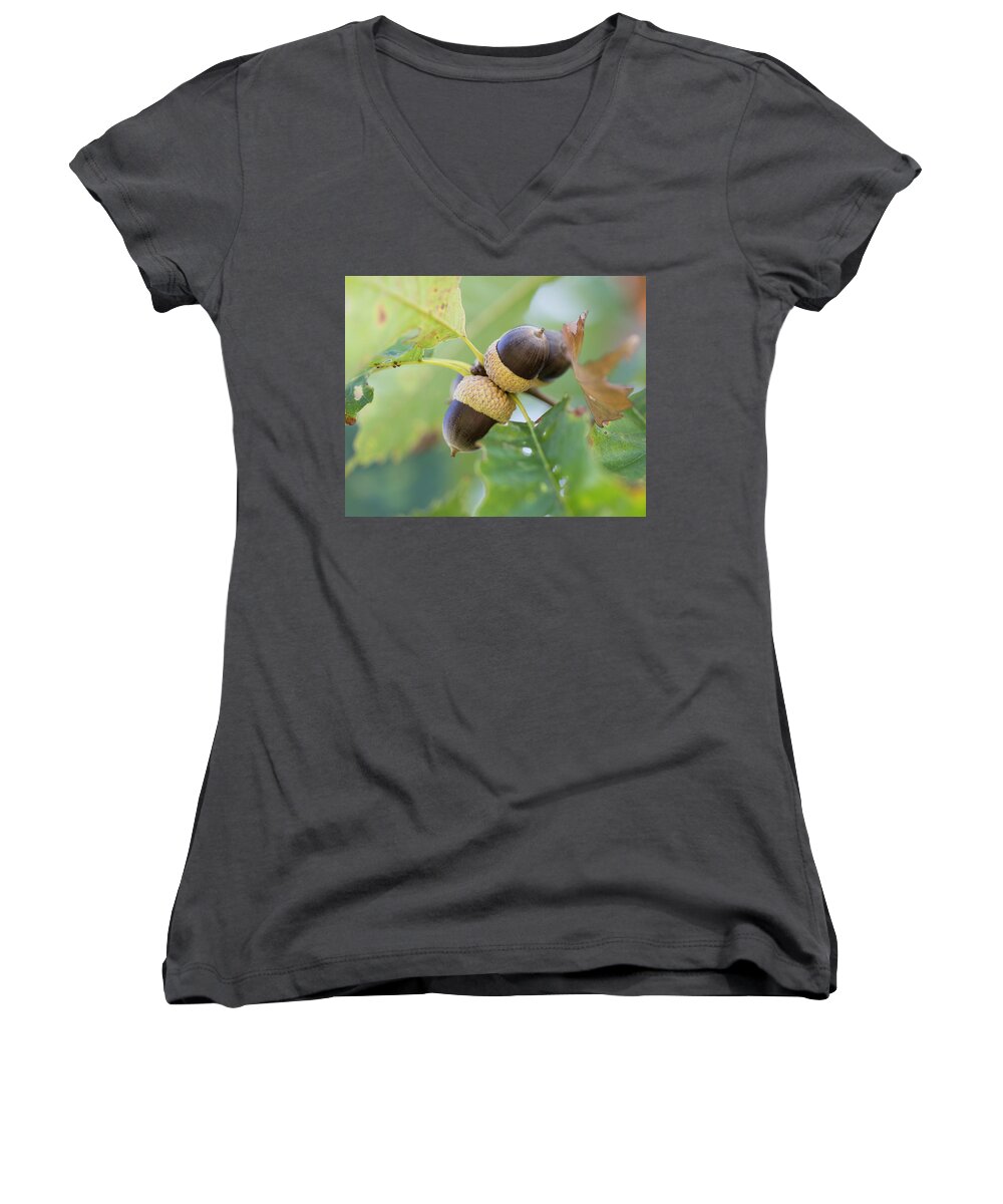 Acrons Women's V-Neck featuring the photograph Acorns by David Beechum