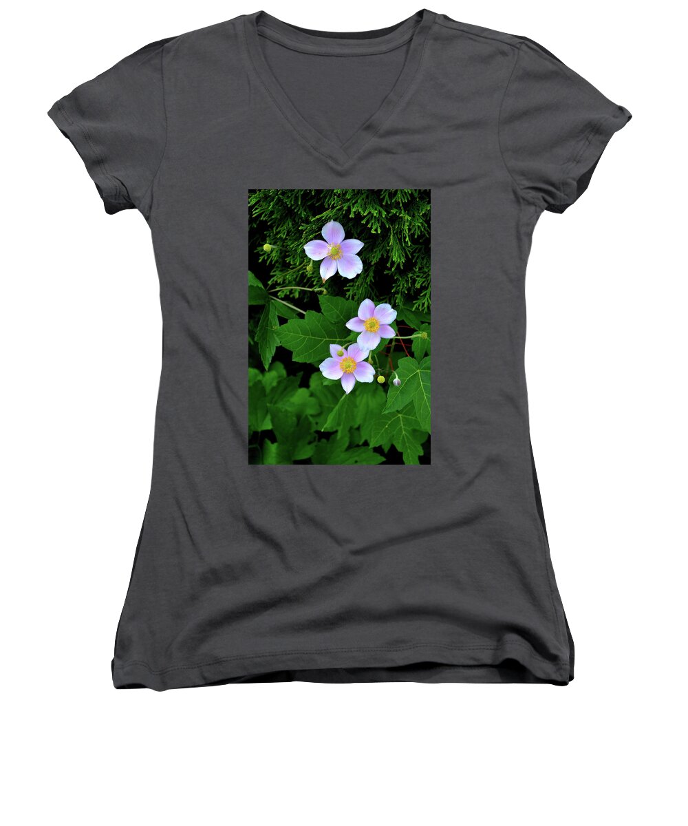 Anemones Women's V-Neck featuring the photograph Anemones Amongst the Evergreens by Richard Ortolano