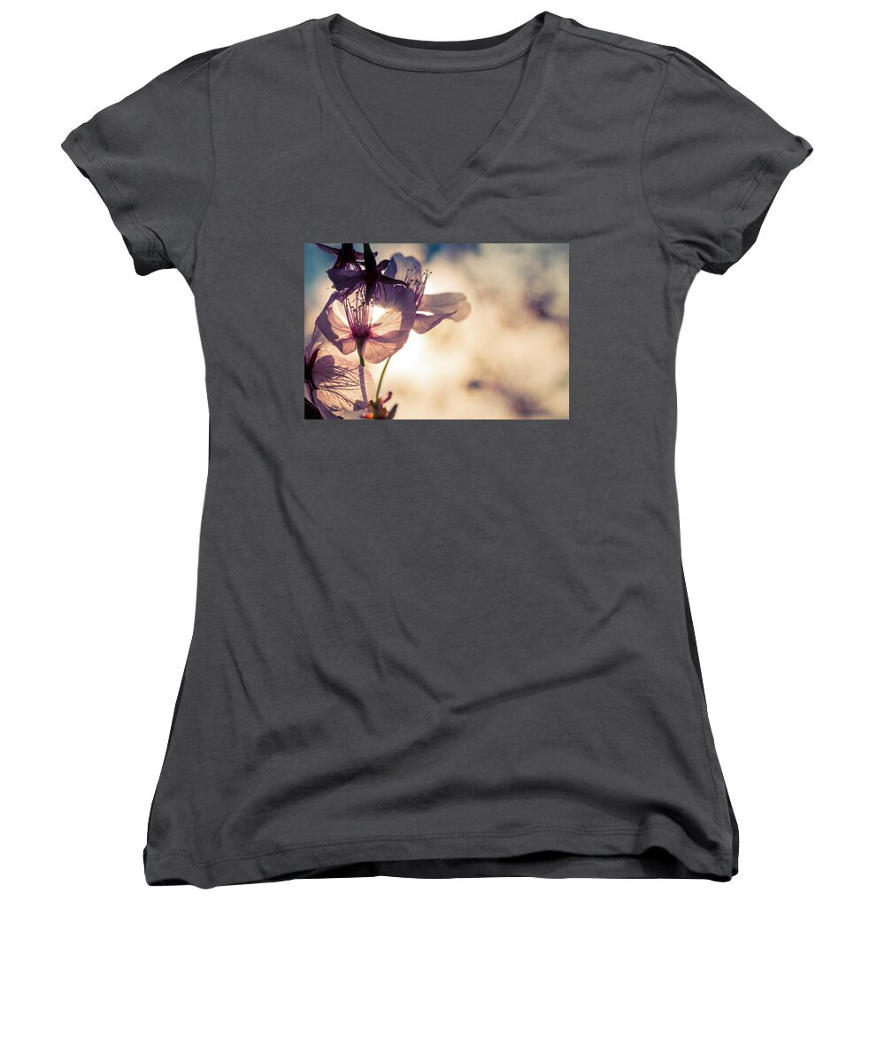 Apple Women's V-Neck featuring the photograph Apple Tree Blossoms by Jeanette Fellows
