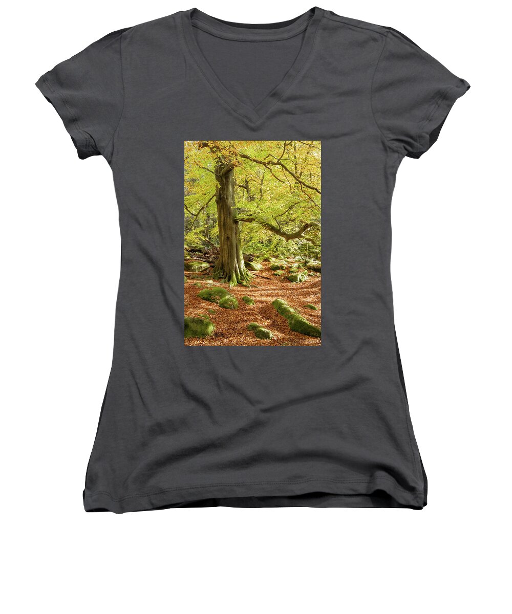 Autumn Women's V-Neck featuring the photograph Autumn colours in Derbyshire by Sue Leonard