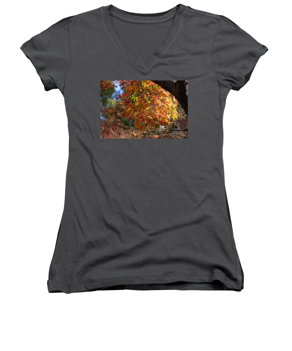 Autumn Women's V-Neck featuring the photograph Autumnal Foliage by Ricardo J Ruiz de Porras