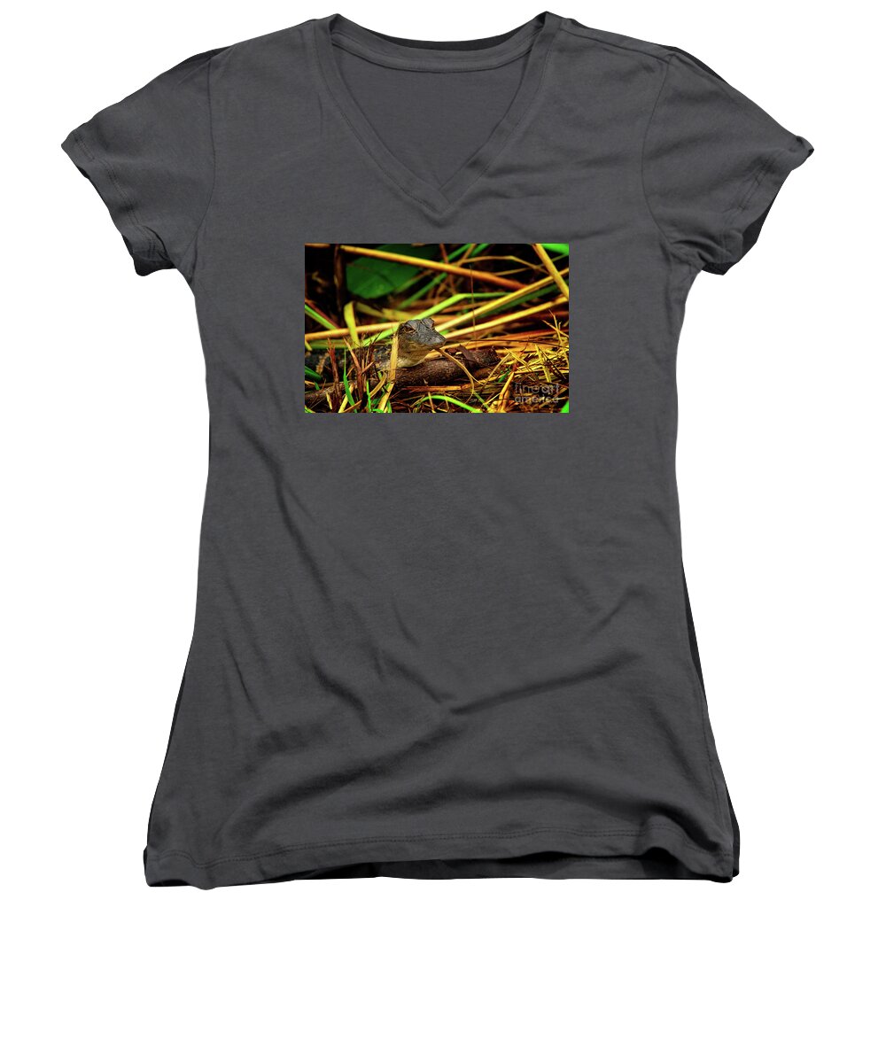 Reptile Women's V-Neck featuring the photograph Baby Gator by Venura Herath