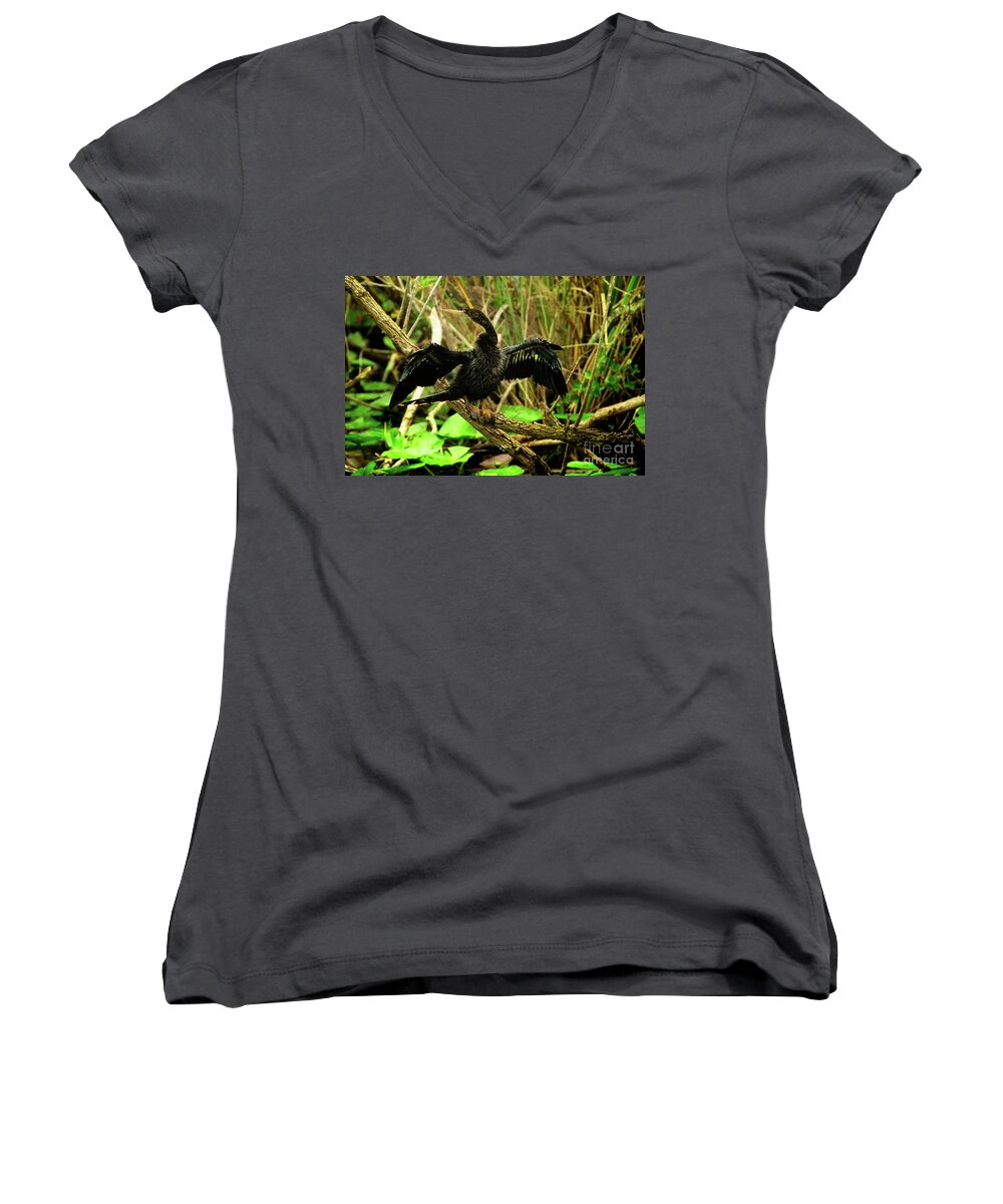 Florida Women's V-Neck featuring the photograph Beauty Pageant by Venura Herath