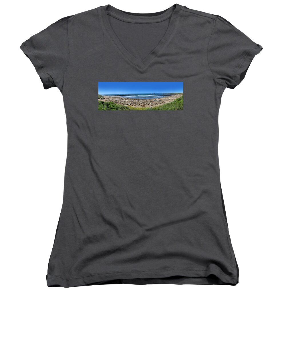 Seals Women's V-Neck featuring the photograph Big Sur Elephant Seals by Anthony Jones