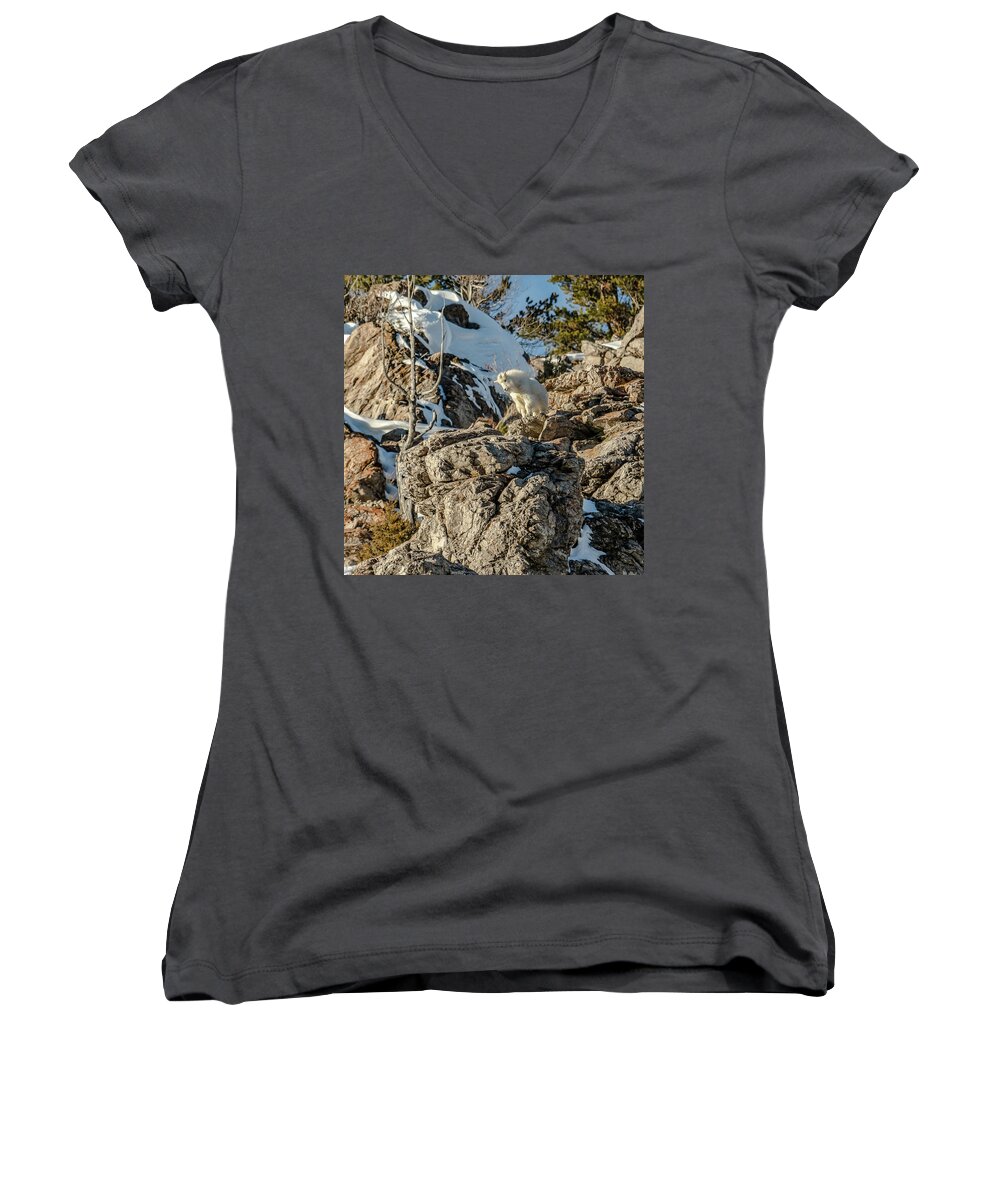 Kid Women's V-Neck featuring the photograph Billy The Kid On Alpine Cliffs by Yeates Photography