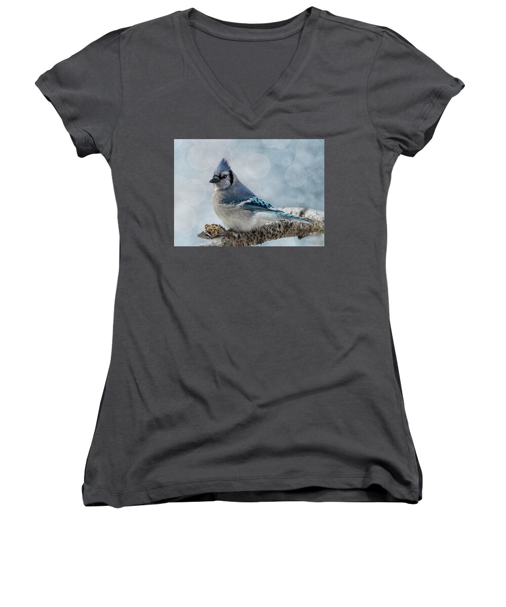 Songbird Women's V-Neck featuring the photograph Blue Jay Perch by Patti Deters