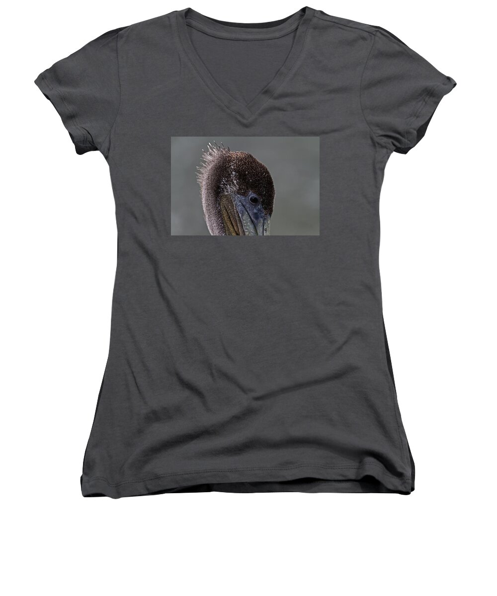 Pelican Women's V-Neck featuring the photograph Brown Pelican by Roger Mullenhour
