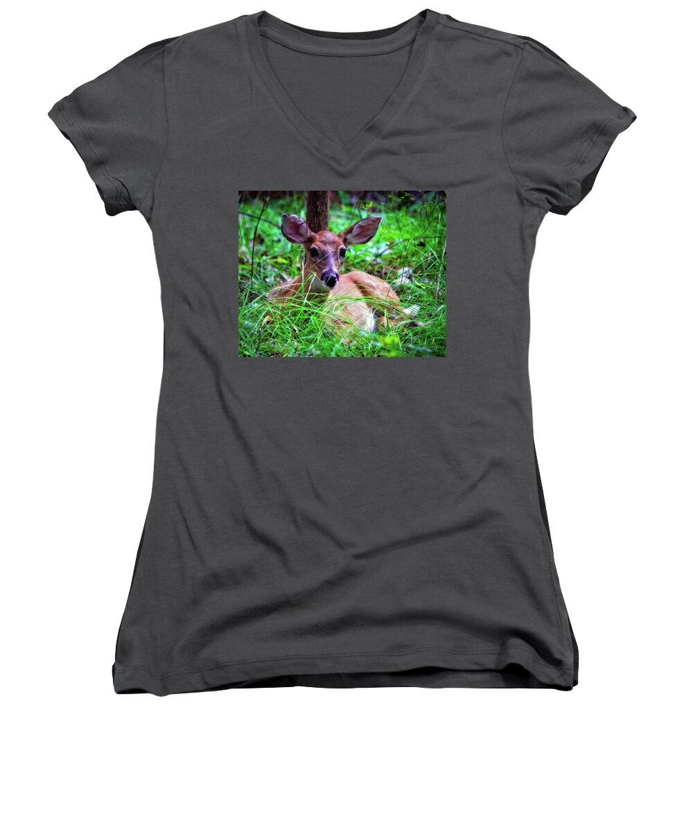 Fawn Women's V-Neck featuring the photograph Button Buck by Laura Vilandre