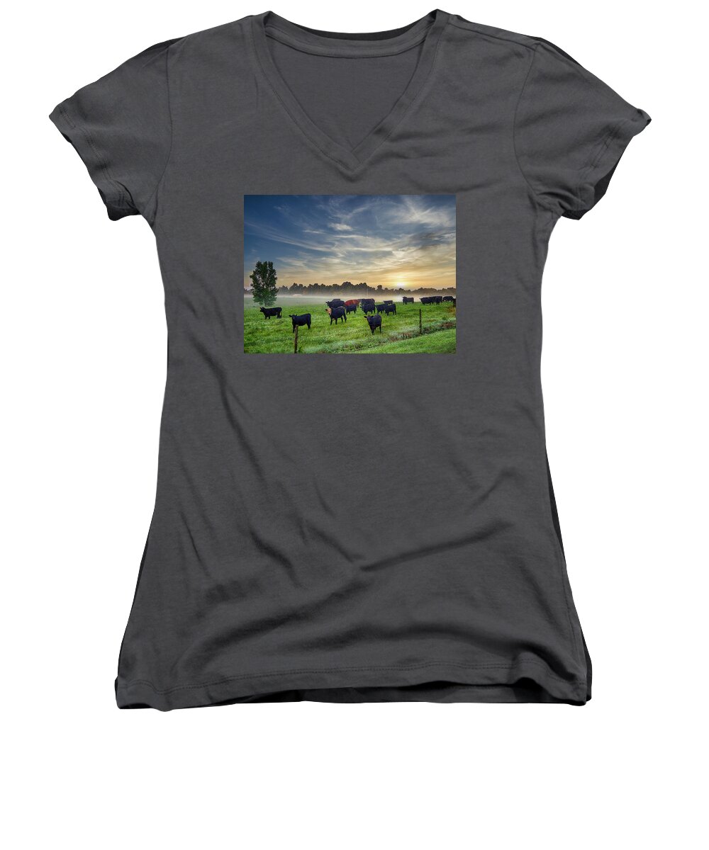 Cows Women's V-Neck featuring the photograph Cows in the Mist by Michael Frank