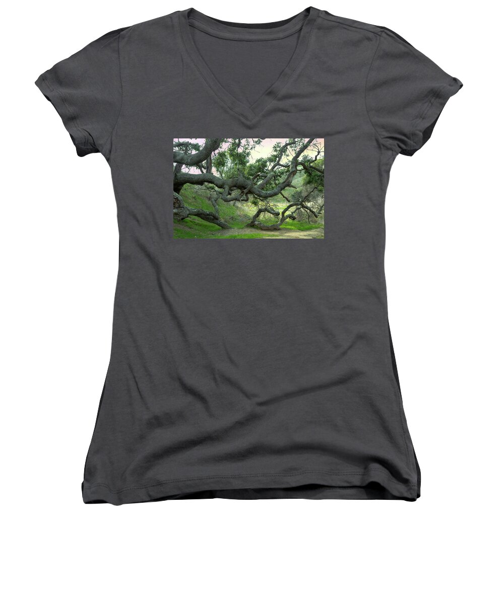 Creepy Women's V-Neck featuring the photograph Creepy Tree by Alison Frank