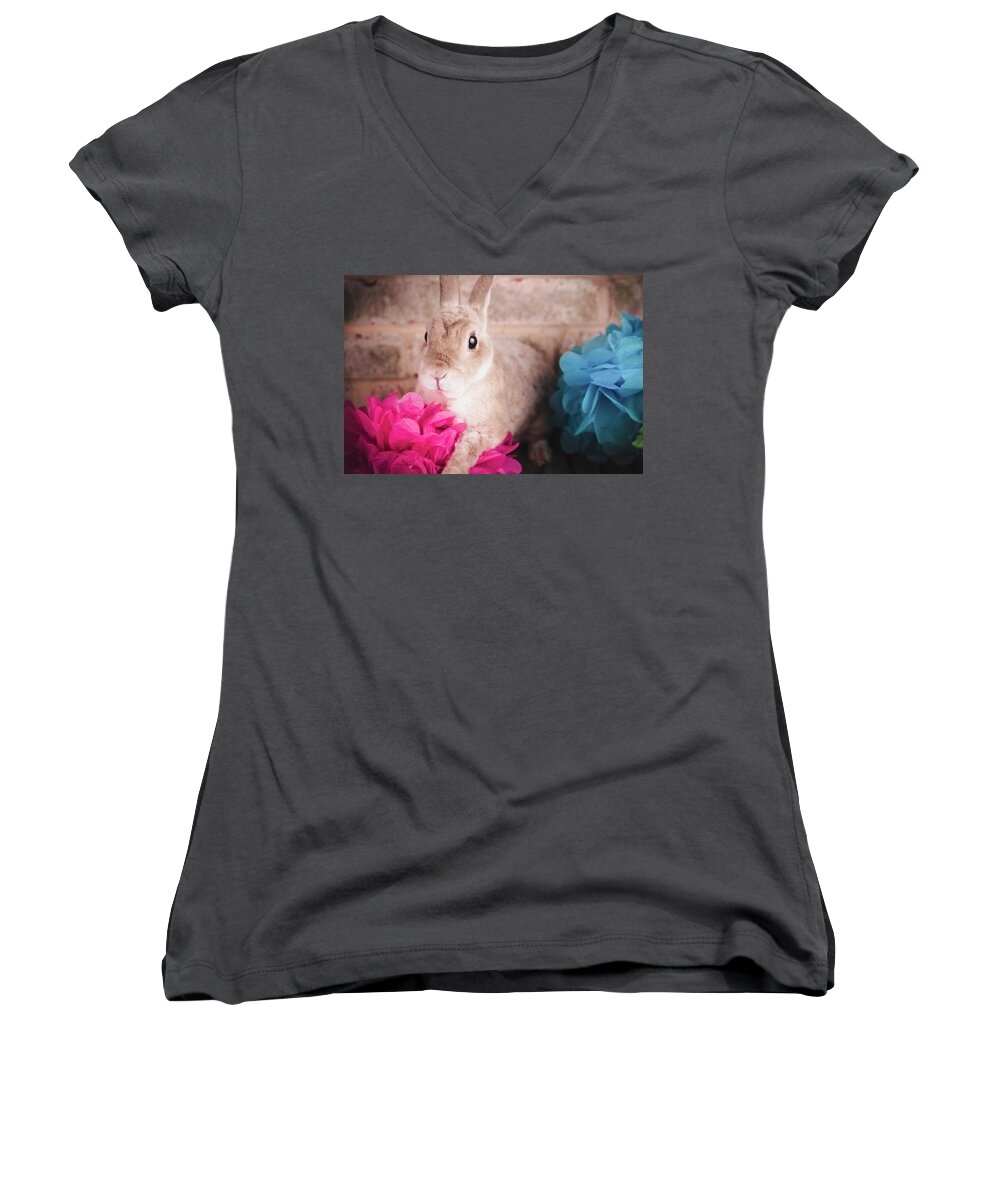 Pet Women's V-Neck featuring the photograph Danny by Jeanette Fellows