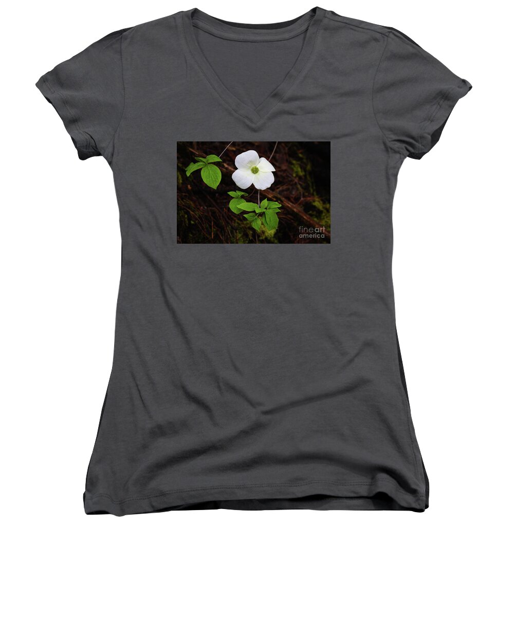  Women's V-Neck featuring the photograph Dogwood by Vincent Bonafede