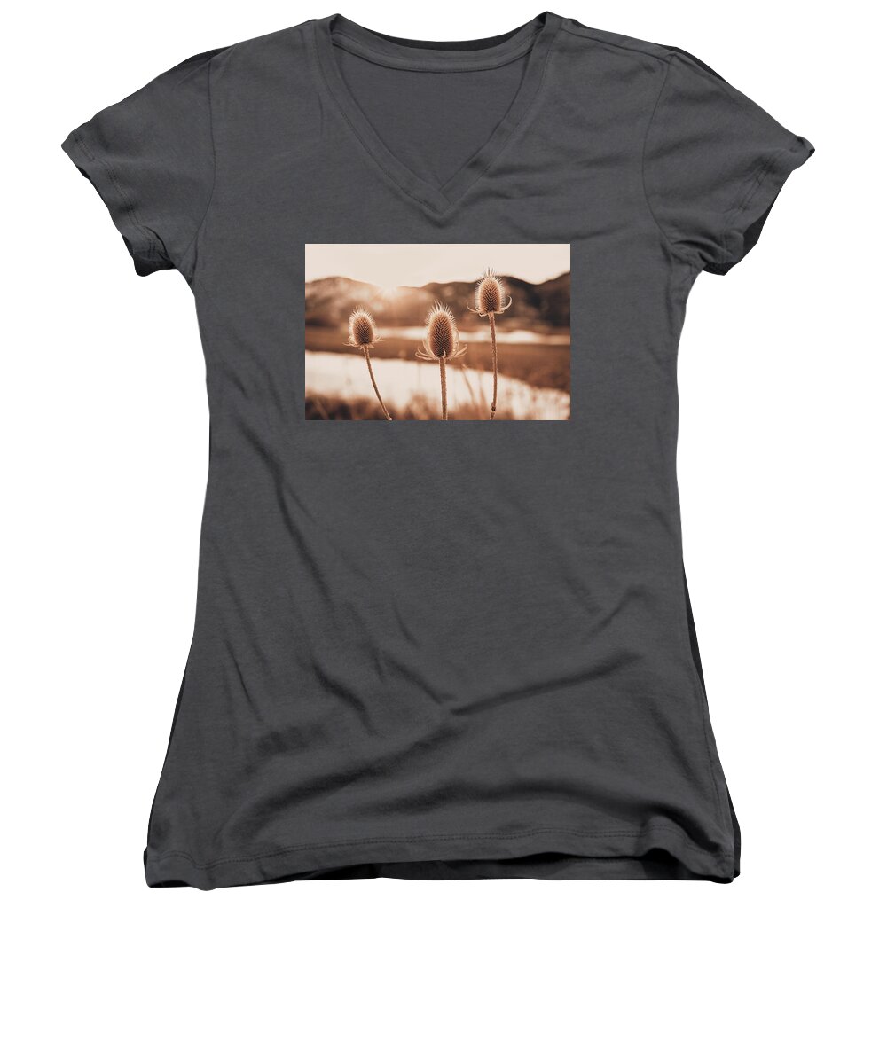 Thistle Women's V-Neck featuring the photograph Dried Thistle in Winter by Jeanette Fellows