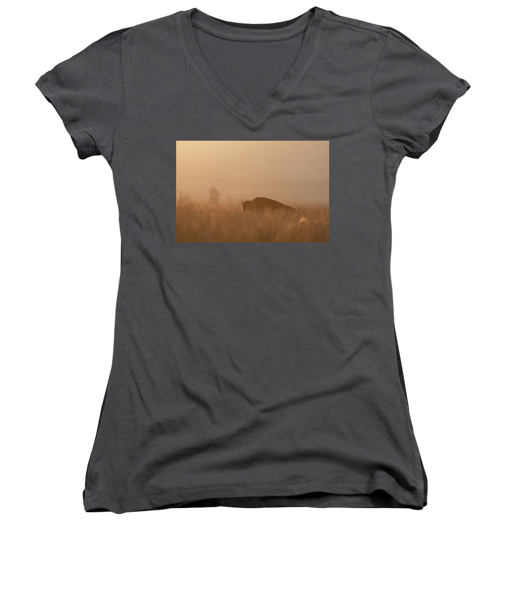 Bison Women's V-Neck featuring the photograph Early Morning Bison by Mary Hone