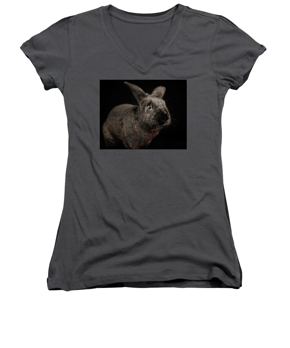 Bunny Women's V-Neck featuring the photograph Elmer by Jeanette Fellows