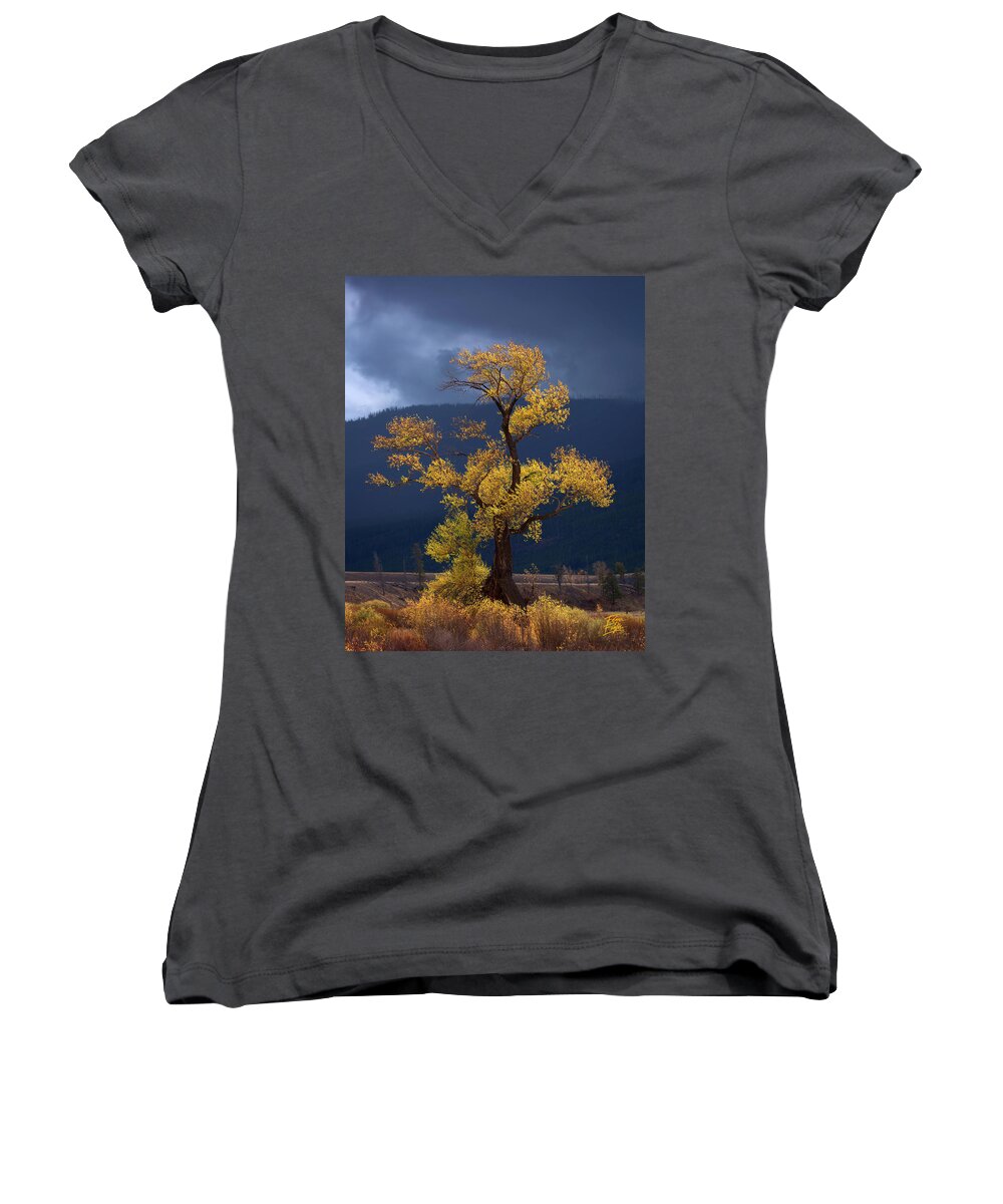 200-400mm Women's V-Neck featuring the photograph Facing The Storm by Edgars Erglis
