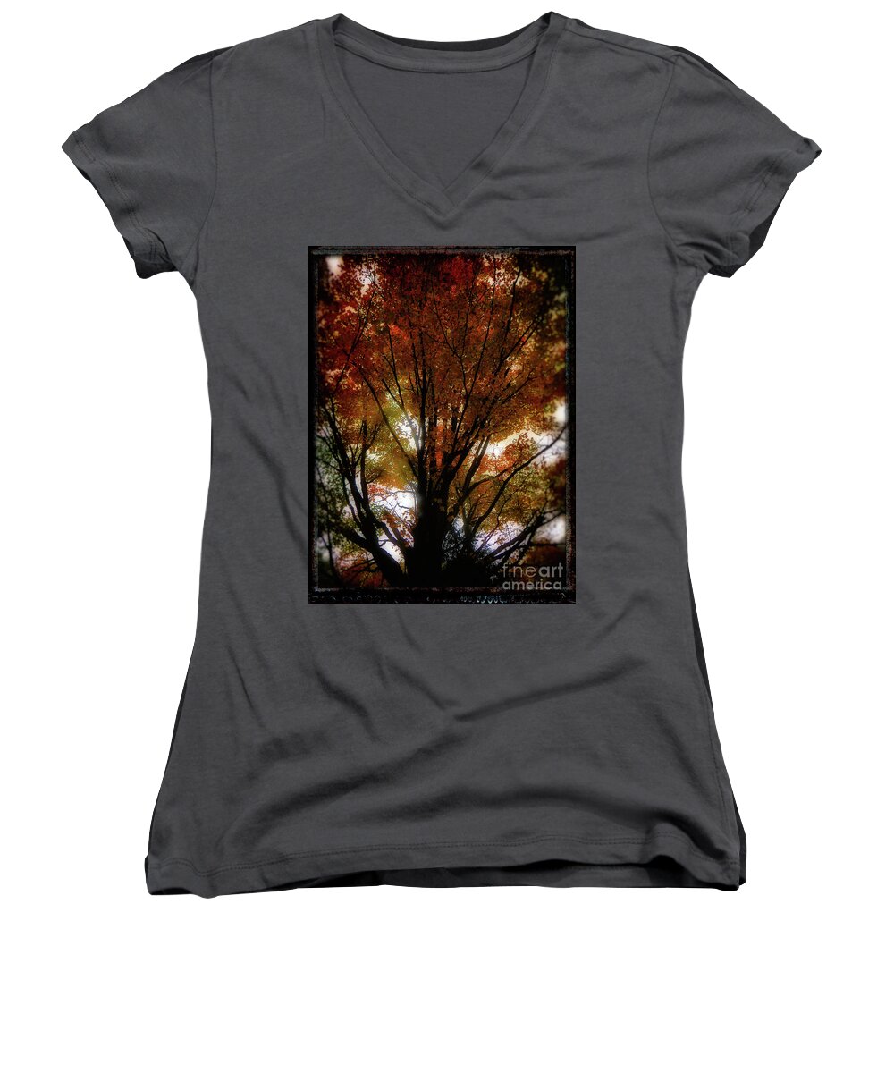 Fall Colors Women's V-Neck featuring the photograph Fall Glory by AnnMarie Parson-McNamara
