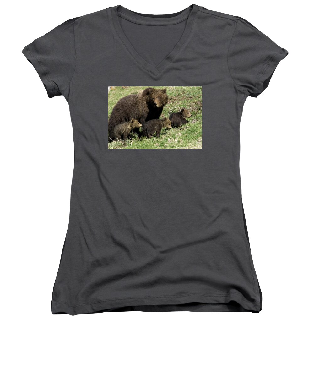 Grizzly Women's V-Neck featuring the photograph Family Time by Shari Sommerfeld